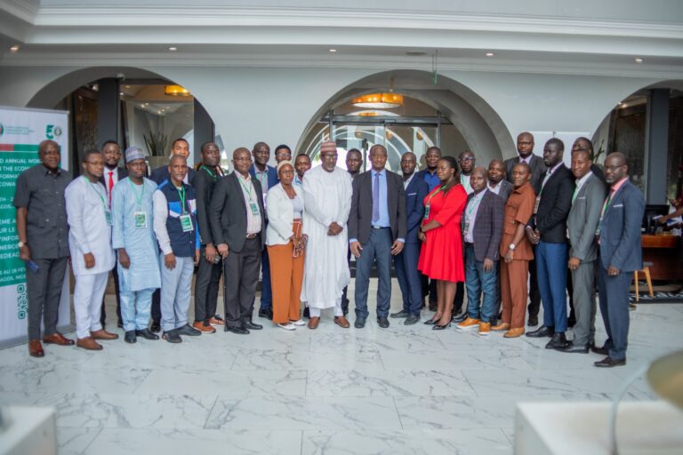ECOWAS Energy Information System Workshop to Strengthen Regional Energy Data Integration