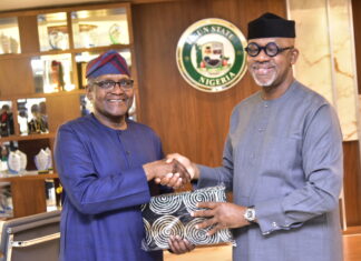 Dangote to build 6 Mta cement plant in Itori, largest Seaport at Olokola in Ogun