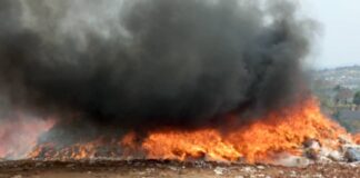 Fake Drugs Worth Over N1 Trillion Destroyed in Anambra, Says NAFDAC