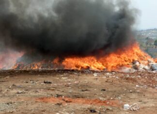 Fake Drugs Worth Over N1 Trillion Destroyed in Anambra, Says NAFDAC