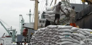 Nigeria Customs Seizes N1.72 Billion Worth of Smuggled Rice, Other Goods in One Month