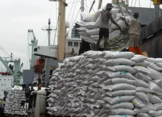Nigeria Customs Seizes N1.72 Billion Worth of Smuggled Rice, Other Goods in One Month