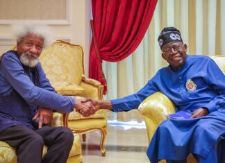Why I’ve not Assessed Tinubu’s Govt – Soyinka