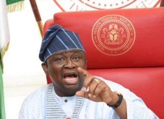 Senator Adeola Yayi Condemns Derogatory Campaigns, Emphasizes Politics of Inclusion