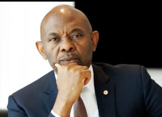 Tony Elumelu Calls for Urgent Action to Avert Nationwide Blackout, Stabilize Power Industry