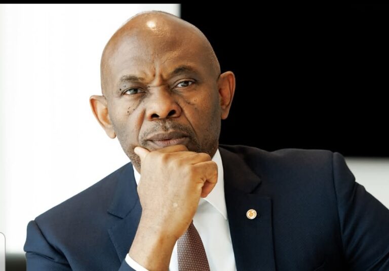 Tony Elumelu Calls for Urgent Action to Avert Nationwide Blackout, Stabilize Power Industry