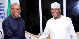 2027: Atiku, Obi Eye SDP Alliance to Topple Tinubu, Says Adebayo