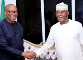 2027: Atiku, Obi Eye SDP Alliance to Topple Tinubu, Says Adebayo