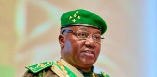 Niger Republic Dumps French For Hausa as National Language