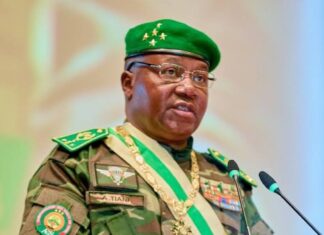 Niger Republic Dumps French For Hausa as National Language