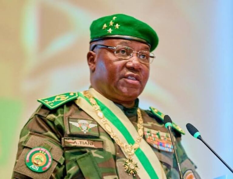 Niger Republic Dumps French For Hausa as National Language