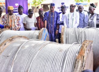 Dangote Cement Ibese Ends 3-Year Blackout, Lights Up 21 Communities in Yewaland