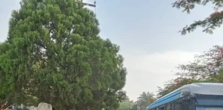 Cash Promises, Empty Pockets: Team Ogun Athletes Protest Unpaid Allowances at National Sports Festival