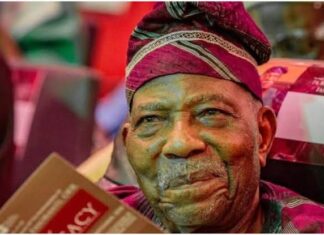 2027: Yoruba Elder Fasoranti Backs Tinubu, OGD, Others for Re-election, Declares Unshakeable Support