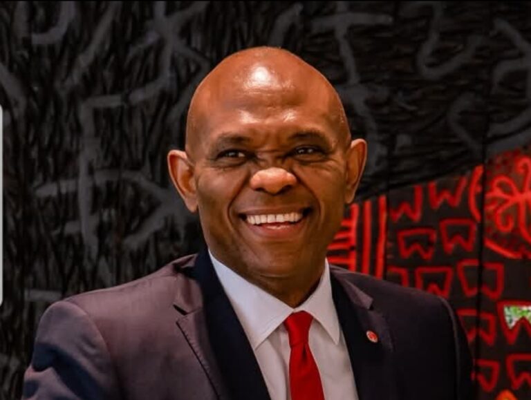 Elumelu: UBA Driving Africa’s Growth