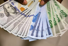 Naira Strengthens Against Dollar, Gains ₦13 in Three Days as FX Trading Pauses