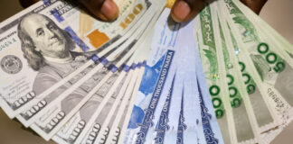Naira Strengthens Against Dollar, Gains ₦13 in Three Days as FX Trading Pauses