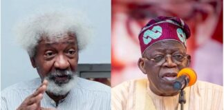 Investigate Murders of Dele Giwa, Kudirat Abiola, Bola Ige — Soyinka Urges Tinubu