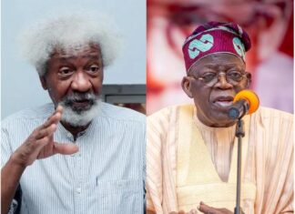 Investigate Murders of Dele Giwa, Kudirat Abiola, Bola Ige — Soyinka Urges Tinubu