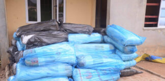 Ondo Police Nab Two Suspected Drug Traffickers, Recover 50 Bags of Indian Hemp in Major Bust