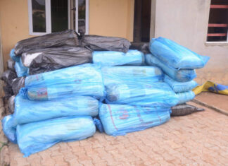 Ondo Police Nab Two Suspected Drug Traffickers, Recover 50 Bags of Indian Hemp in Major Bust