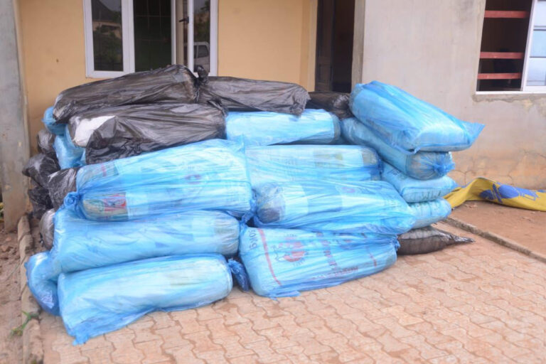 Ondo Police Nab Two Suspected Drug Traffickers, Recover 50 Bags of Indian Hemp in Major Bust