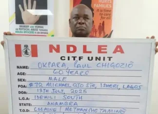 Busted After 7 Years: NDLEA Nabs Elusive Drug Kingpin, Launches Nationwide Offensive