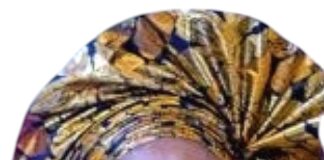 Temitayo Agemo-Okuboyejo Honoured with Recognition Award for Advancing Grassroots Education in Ado-Odo/Ota