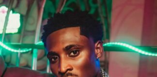 Guinness, Chelsea Dry Gin, LOGS wine backs Sinatra for Afrocentric 3.0