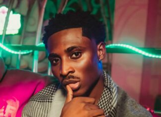 Guinness, Chelsea Dry Gin, LOGS wine backs Sinatra for Afrocentric 3.0