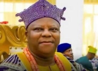 US Court Hears Plea for Leniency as Nigerian Monarch Admits $4.2m COVID Relief Fraud