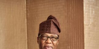 Sen. Gbenga Daniel Honoured with Public Service Excellence Award