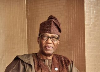 Sen. Gbenga Daniel Honoured with Public Service Excellence Award