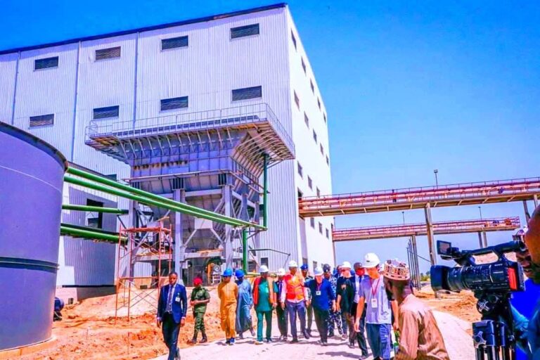 Nigeria’s Lithium Revolution And The End Of Economic Surrender | By Olabode Opeseitan