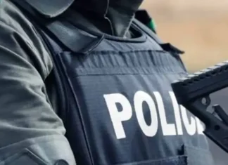 Police Foil Fuel Smuggling Attempt, Seize Over 100 Jerrycans of Petrol Bound for Niger Republic