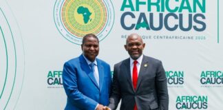 Africa Must Be Heard On Its Own Terms – Elumelu Tells IMF, World Bank Caucus