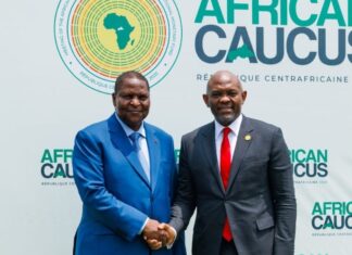 Africa Must Be Heard On Its Own Terms – Elumelu Tells IMF, World Bank Caucus