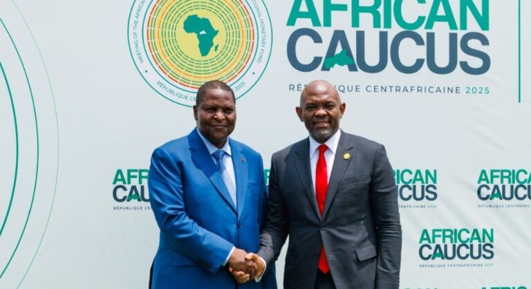 Africa Must Be Heard On Its Own Terms – Elumelu Tells IMF, World Bank Caucus