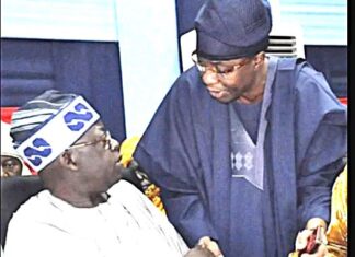 Tinubu’s Re-election Bid: Why Daniel’s Grassroots Influence Matters in Ogun
