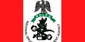 NDLEA Busts International Drug Cartel, Seizes N6.4bn Narcotics, Arrests Kingpins