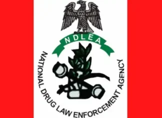 NDLEA Busts International Drug Cartel, Seizes N6.4bn Narcotics, Arrests Kingpins