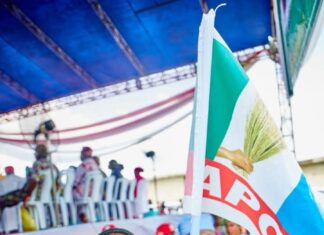 Photo Speaks: Two-Year-Old Girl Steals the Show at Gbenga Daniel’s Midterm Tour in Ikenne