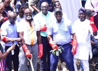Dangote Group Leads Coastal Restoration Drive in Lagos