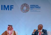 “Africa’s Youth Don’t Need Sympathy, They Need Systems That Work” — Tony Elumelu Tells Global Leaders at IMF Summit