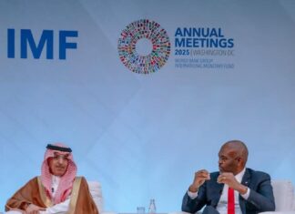 “Africa’s Youth Don’t Need Sympathy, They Need Systems That Work” — Tony Elumelu Tells Global Leaders at IMF Summit