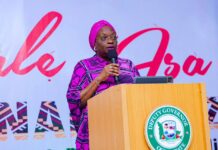 Noimot Salako-Oyedele: A Quintessential Leader, Powered by Passion and Purpose for Humanity | By Owolabi ALESHINLOYE