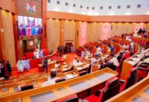 Senate Fires Back at Critics, Insists State Police Bill Is About Saving Nigeria, Not Politics