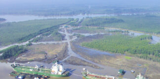 Black Gold and Red Tape: The Legal Siege of Nestoil’s Assets