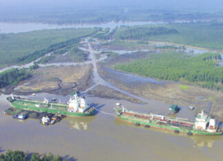 Black Gold and Red Tape: The Legal Siege of Nestoil’s Assets