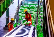 Dangote Fertiliser Partners with German’s thyssenkrupp Uhde to License Four Urea Granulation Units in Nigeria